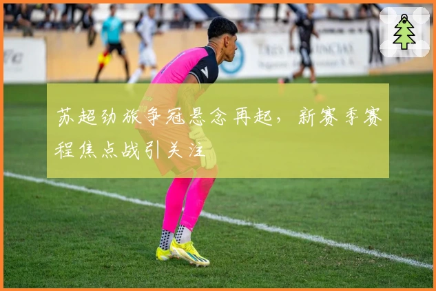 苏超劲旅争冠悬念再起,新赛季赛程焦点战引关注